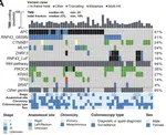 MLH1 Lynch Syndrome Colorectal Cancers Are Driven by Heterogeneous Wnt Pathway Gene Mutations